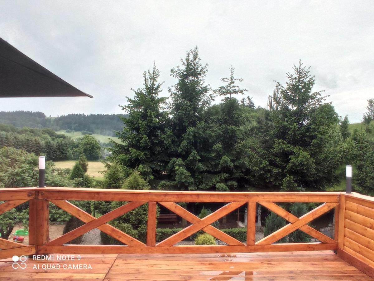 Apartamenty Sowianka Ludwikowice Kłodzkie Extérieur photo