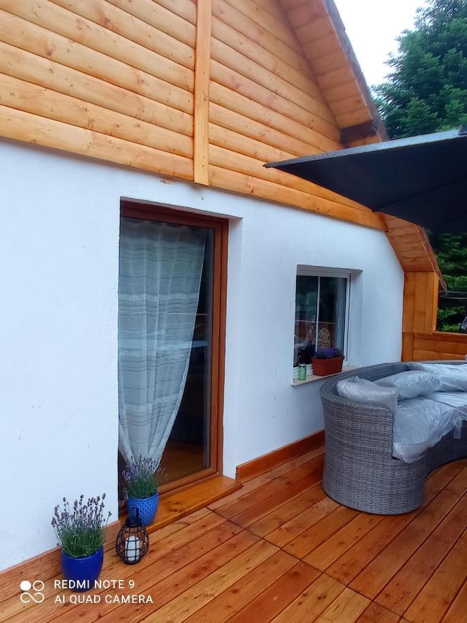 Apartamenty Sowianka Ludwikowice Kłodzkie Extérieur photo