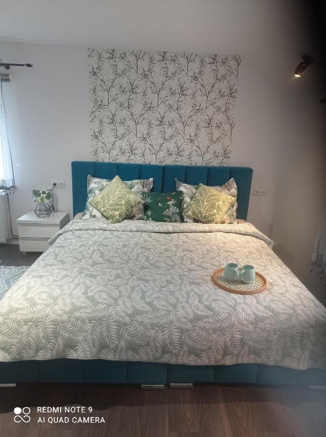 Apartamenty Sowianka Ludwikowice Kłodzkie Extérieur photo