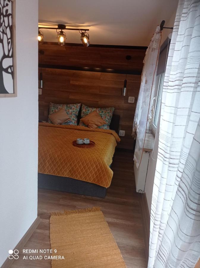 Apartamenty Sowianka Ludwikowice Kłodzkie Extérieur photo