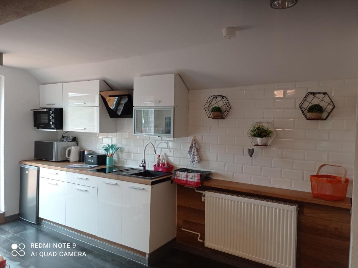 Apartamenty Sowianka Ludwikowice Kłodzkie Extérieur photo