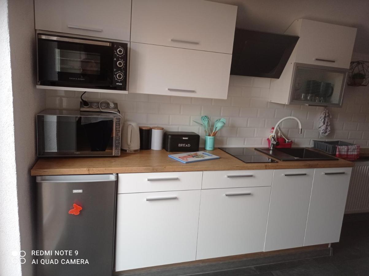 Apartamenty Sowianka Ludwikowice Kłodzkie Extérieur photo