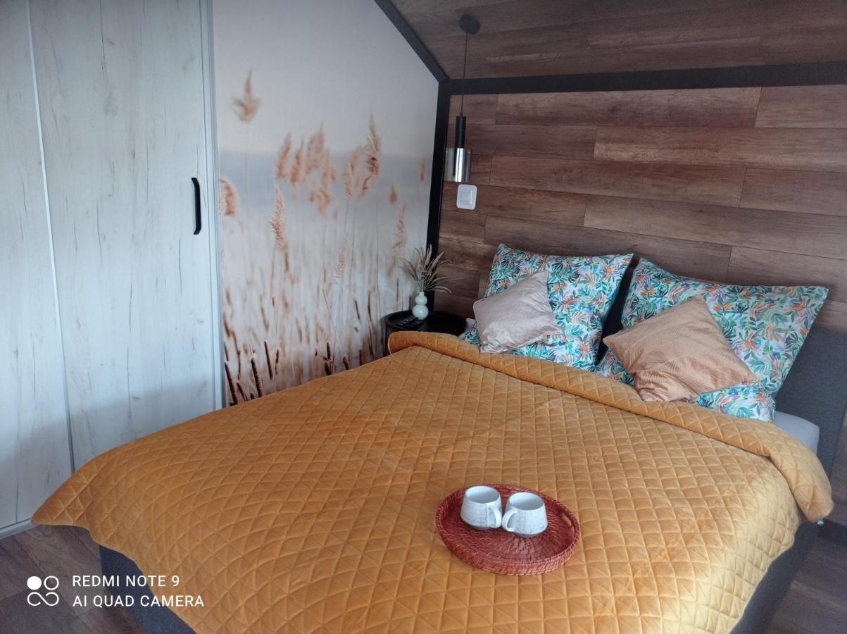 Apartamenty Sowianka Ludwikowice Kłodzkie Extérieur photo