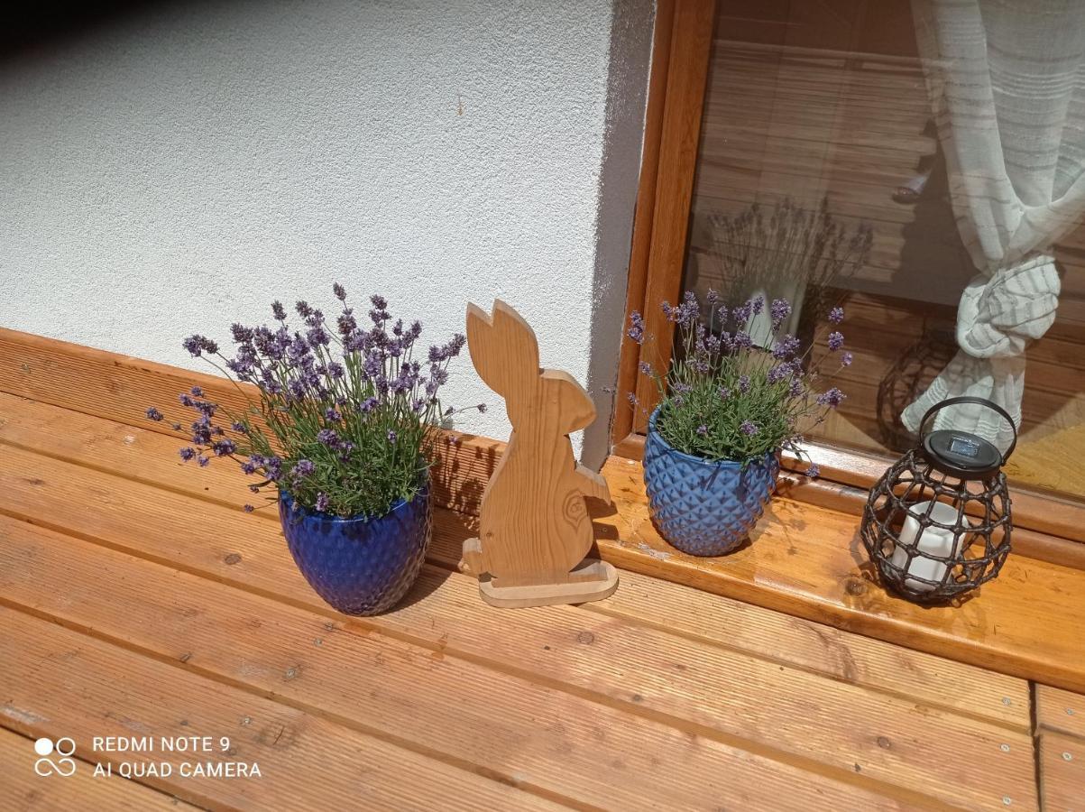 Apartamenty Sowianka Ludwikowice Kłodzkie Extérieur photo