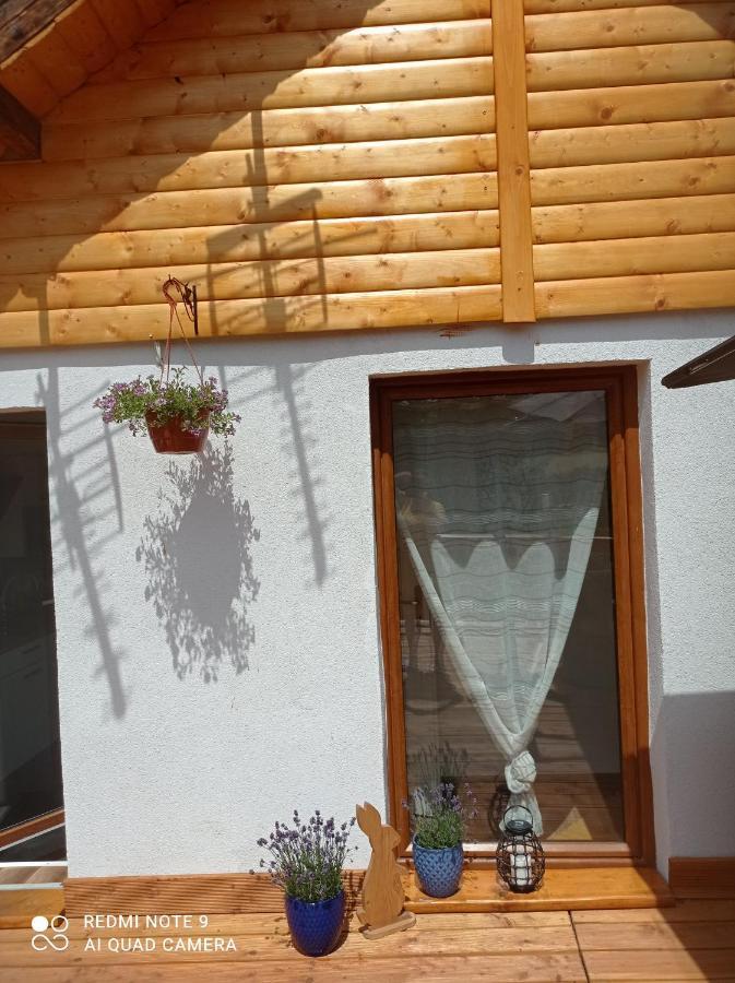 Apartamenty Sowianka Ludwikowice Kłodzkie Extérieur photo